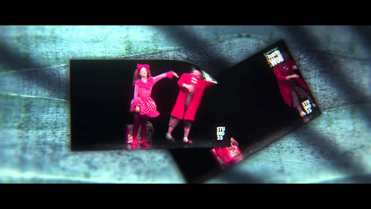 Photos In The Attic Preview