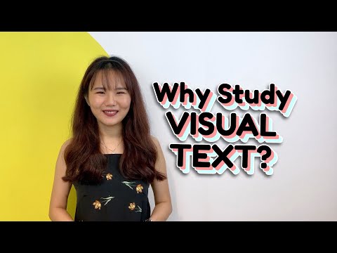 Why Study Visual Text?