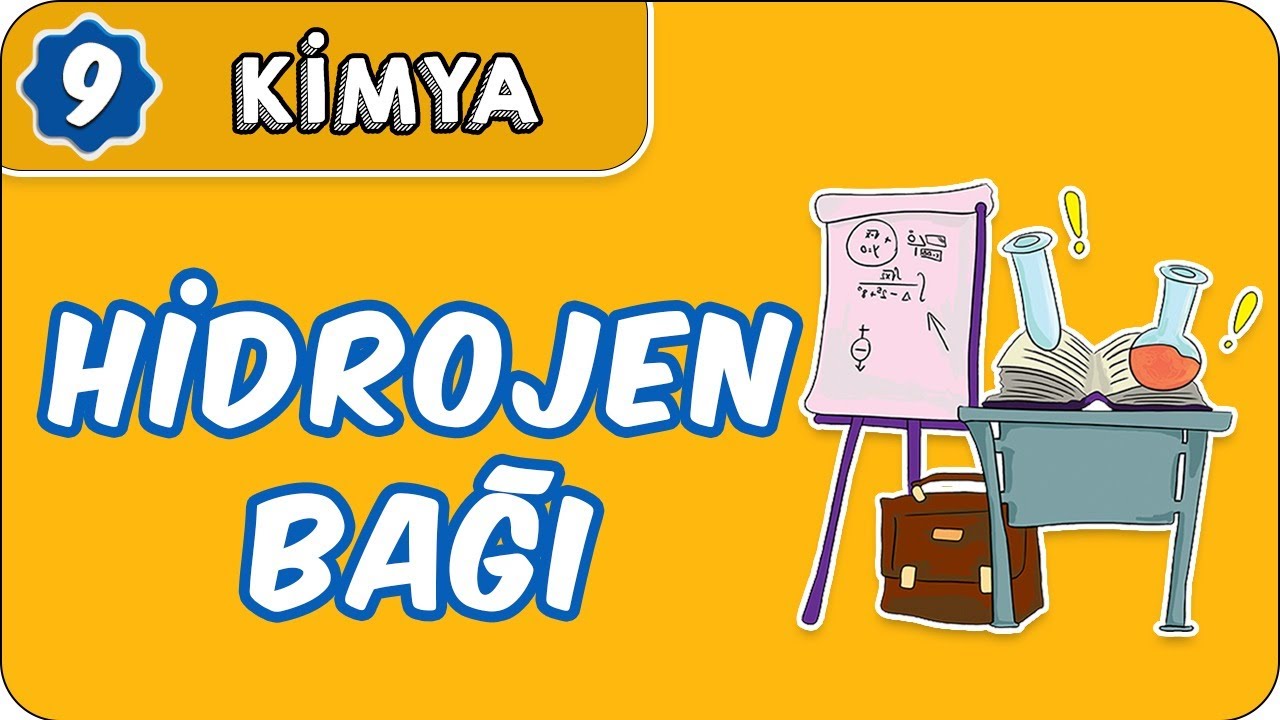 Hidrojen Bağı  | 9.Sınıf Kimya