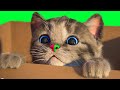 Little kitten adventure  preschool fun game with animals and a cat cartoon animated