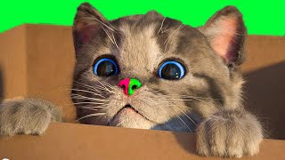 LITTLE KITTEN ADVENTURE - PRESCHOOL FUN GAME WITH ANIMALS AND A CAT (CARTOON ANIMATED VIDEO) screenshot 3