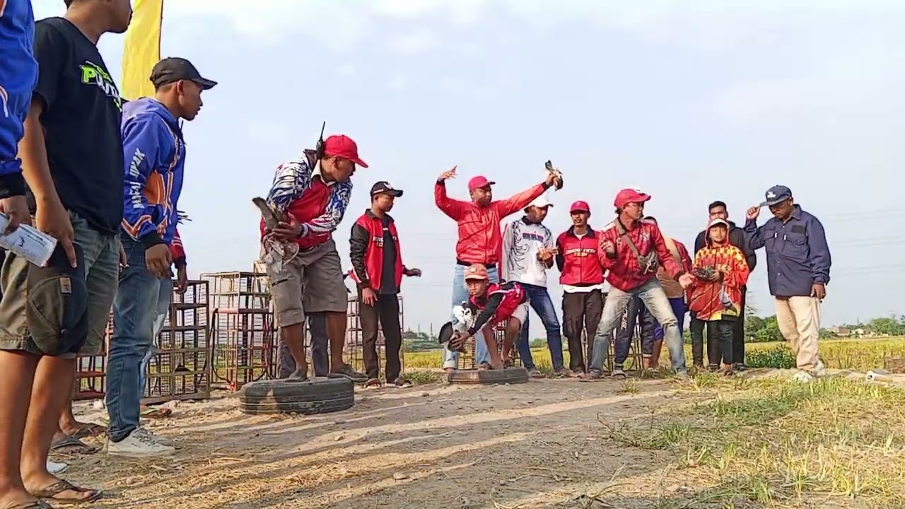 Semifinal Seri A,B,C,D, E Lomba Putaran Pati Kudus Jepara Demak Purwodadi 