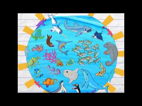 Video: Why The Sea Is Useful