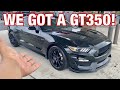 TAKING DELIVERY of a SHELBY GT350! *INTRODUCING VENOM!
