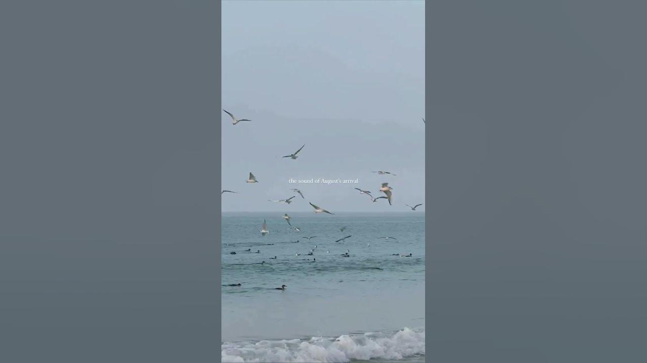 August #taylorswift #tiktok #summer #music #song #moodmusic #sadmusic