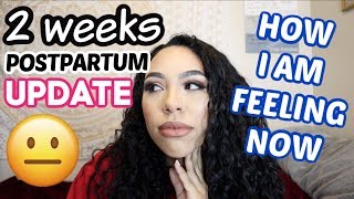 2 WEEK POSTPARTUM UPDATE: After Surrogate Birth