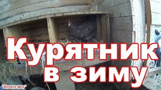 Курятник в зиму/Просто, дешево, эффективно