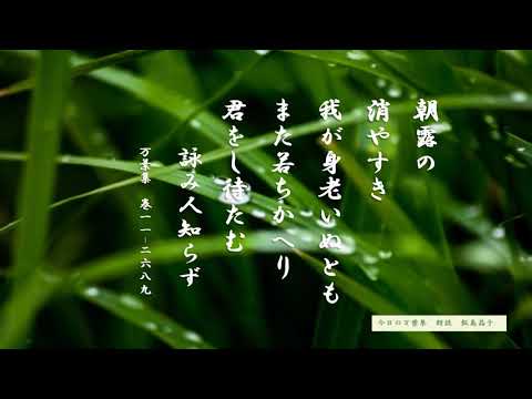 【今日の万葉集】10月20日　朝露のような我が身　今も昔も同じですね～～でもさらりと、また若返ってあなたを待ちたいといっているところがいいですね～～　　私もまた　朝露のような　浮草のような人生！