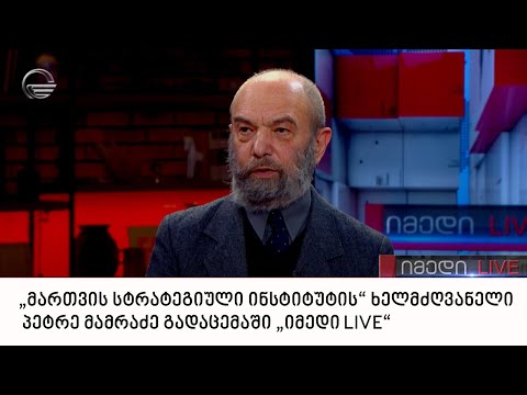 „მართვის სტრატეგიული ინსტიტუტის“ ხელმძღვანელი პეტრე მამრაძე გადაცემაში „იმედი LIVE“
