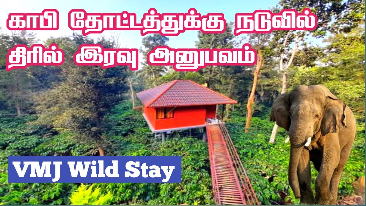 Thrill Night Stay Inside the Coffee Plantation in Wayanad | Elephant Encounter | Jolly Trip