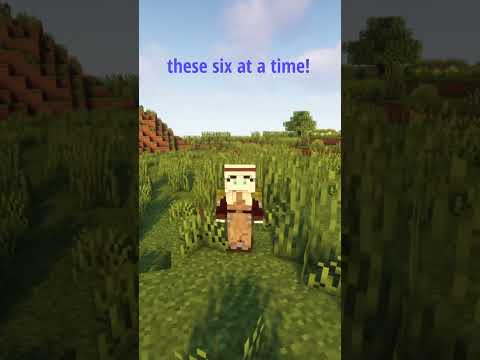 Adding your flags to Minecraft!