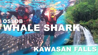 Cebu Excursion - Oslob Whale Shark , Badian Kawasan Falls and Moalboal