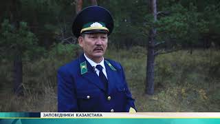 Kazakhstan’s wildlife sanctuaries №19 rus SA