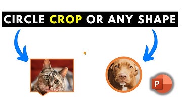 How to Crop a Picture into a Circle or any Shape in Microsoft PowerPoint