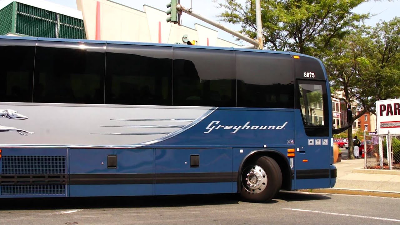 Greyhound Bus Lines 20082009 Prevost x345 8875 Atlantic & South