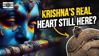 Untold Mysteries of Jagannath Puri | Brahma Padarth