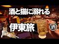 昭和スナックの夜。猫宿に泊まる伊東ひとり酒旅