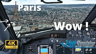 ULTIMATE IMMERSION | BOEING 737 Stunning LANDING PARIS ORLY |  Flight Simulator 2023 | FS2CREW |