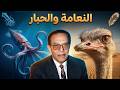 عجائب النعامة وحبار الأعماق حلقة رائعة للدكتور مصطفى محمود 