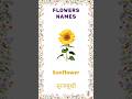 Learn Flowers Name for Kids | Flower Names for Children | #learningwithrhymes #kidslearning #shorts