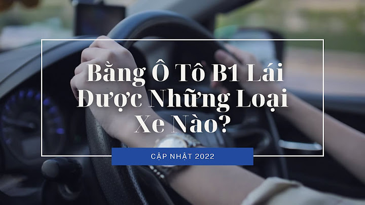 Bằng lái xe ô tô b1 là gì năm 2024