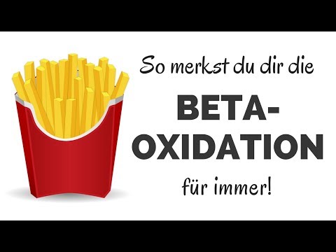 Video: Unterschied Zwischen Fettsäuresynthese Und Beta-Oxidation