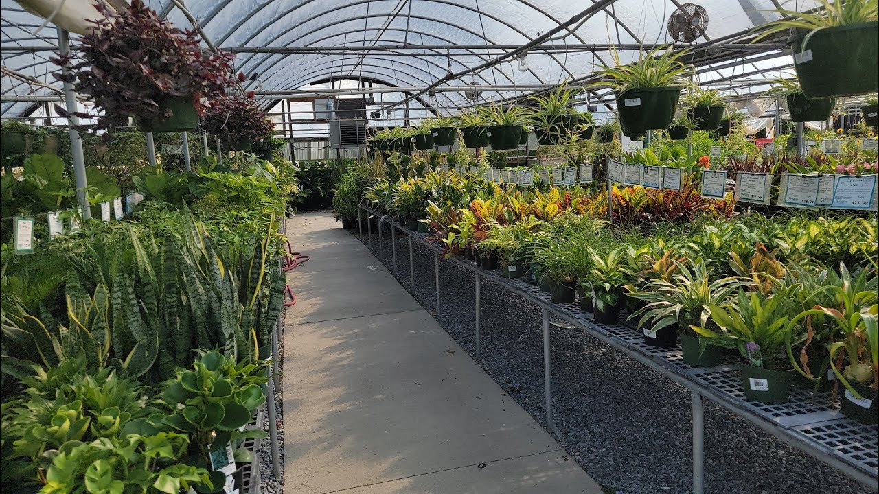 Walk around Evergreen Garden Center with us and look at the beautiful