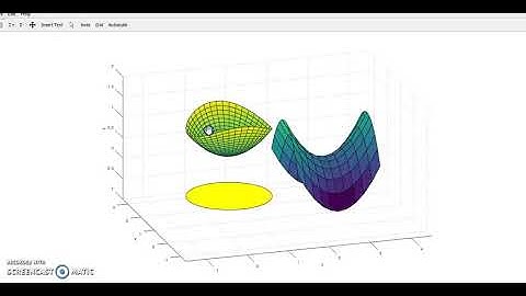 Joanie Thompson and Nitika Sood - Video on the Hyperbolic Plane