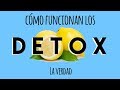 DETOX ¿Cómo funciona?