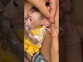 The baby monkey is being carefully cared for by its mother, who is also cleaning its ears.
