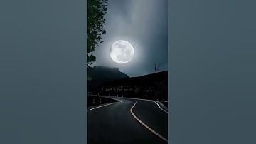 ( إني جزيتهم اليوم بما صبروا ) اسلام صبحي - حالات واتس اب قران كريم 💖🌹 - حالات واتس اب دينيه 🌧️🍃