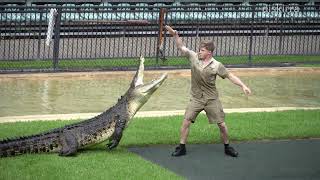 Famous Robert Irwin demonstrates the speed of a large croc Wealth