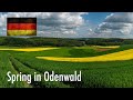 Germany - Spring in Odenwald