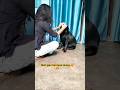 Mumma ki duniya hai honey 🥰 #honey #motherlove #dogshorts #petparent #trending #ytshorts #cutealert