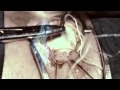 EAGULLS // HOLLOW VISIONS