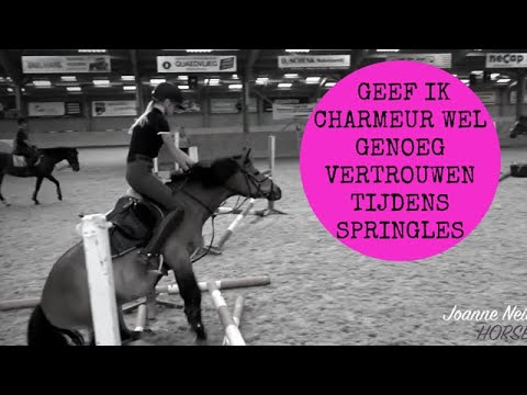 Geef IK Charmeur wel genoeg vertrouwen op springles 🤔 #JoanneNeidhoferHorses #Vlog190