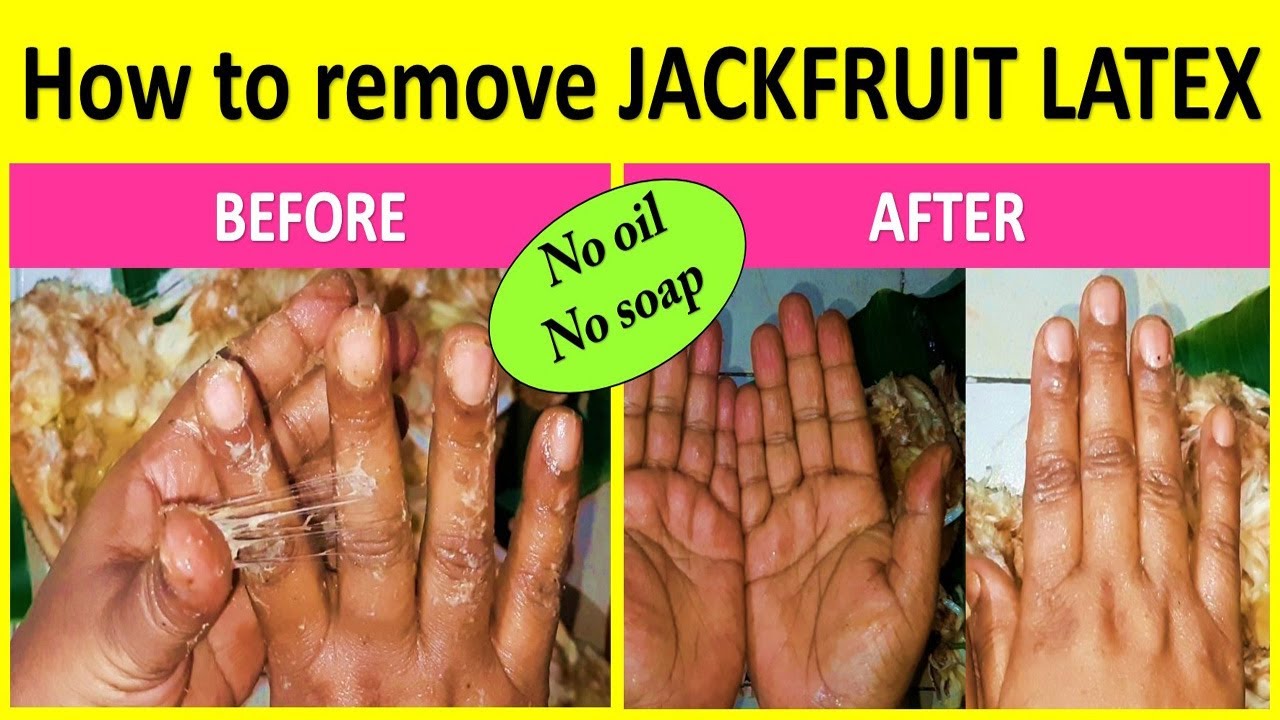 How To Remove Jackfruit Latex How To Get Rid Of Stickiness Easily How To Remove Jackfruit Latex How To Get Rid Of Stickiness Easily