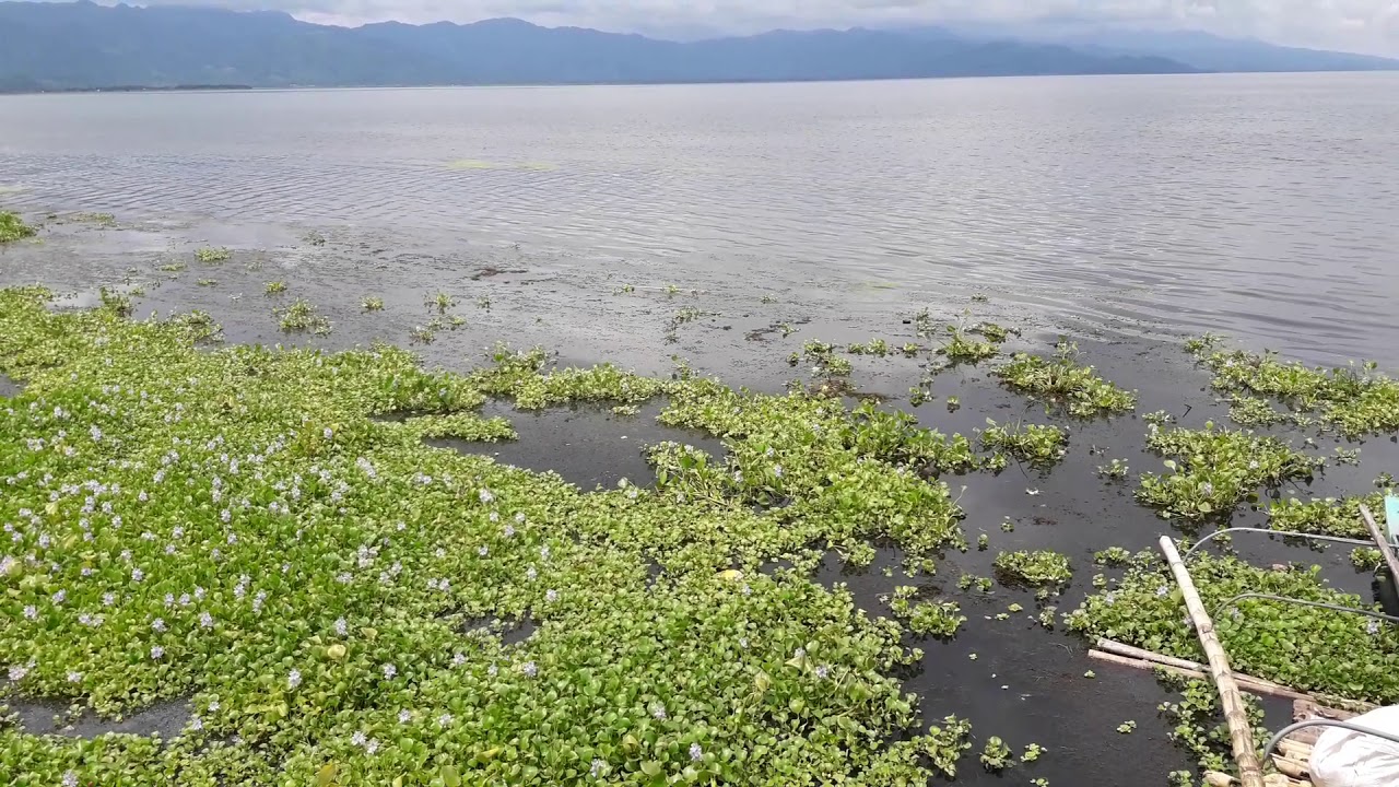 Lake Mainit , Mainit, Surigao del Norte, Philippines - YouTube