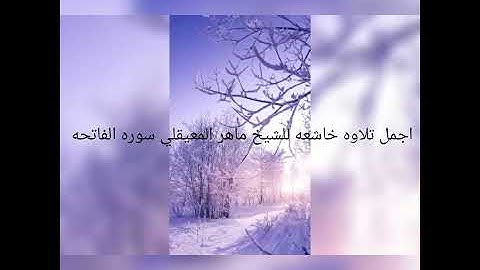أجمل تلاوة لسورة الفاتحة للشيخ ماهر المعيقلي 😍تلاوة خاشعة مؤثرة مبكية جدا⁦❤️⁩