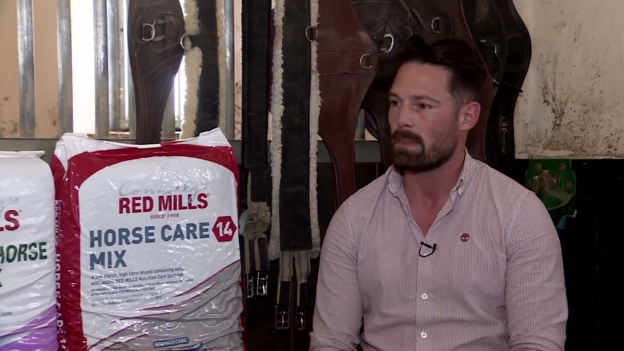 What do racehorses eat?