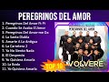 P e r e g r i n o s d e l A m o r 2023 [1 HORA] - Mejores Canciones, Mejores Exitos, Grandes Exi...