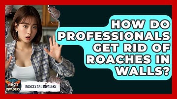 How Do Professionals Get Rid Of Roaches In Walls? - Insects and Invaders