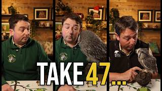Why Our Birds Are Absolute CHAOS (Outtakes Compilation)
