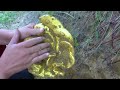 Wild Treasure Hunt Victory Journey: Metal Detector is My Most Powerful Weapon