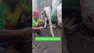 Tes ketajaman golok langsung dari empunya