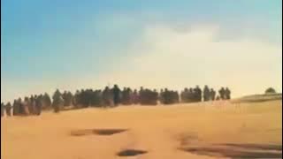 Story' wa Kisah nabi Musa membelah lautan