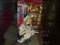なんで? #名古屋コンカフェ #メイドカフェ #大須