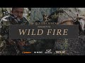 Wild Fire - New Zealand bowhunting for red stags and sika stags