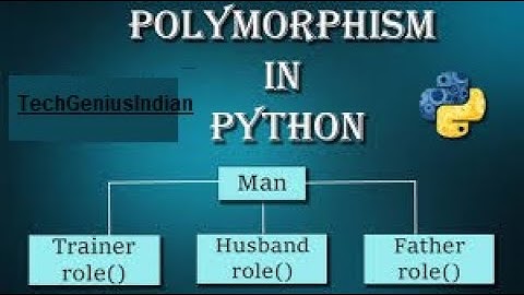 17.Master Polymorphism in Python | Functions, OOP, and Inheritance Explained