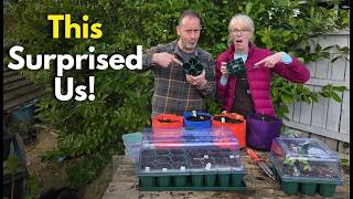 Adding New Seed Sowing Trays and Humidity Domes Improved This So Much #seedsowing #vegogarden